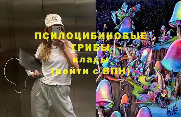 ешки Усинск