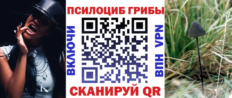 Псилоцибиновые грибы мицелий  Шебекино 