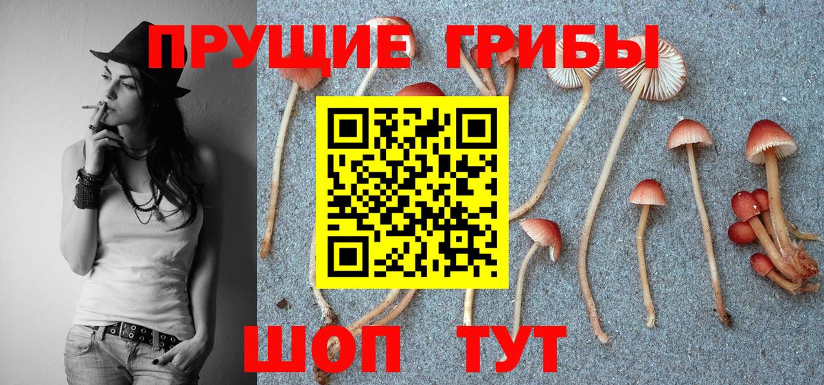 Псилоцибиновые грибы Magic Shrooms  Галлюциногенные грибы мицелий  Шебекино 